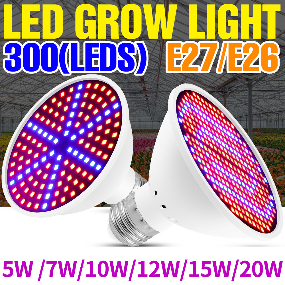 25W E27 Full Spectrum LED Plan - Echeveria Succulent ulasan dan harga