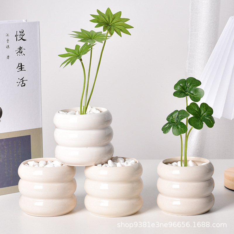 Ceramic Self-Watering Succulen - Echeveria Succulent ulasan dan harga