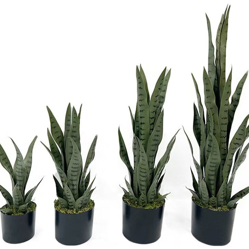 40-100cm Artificial Sansevieri - Ficus Lyrata Tree ulasan dan harga