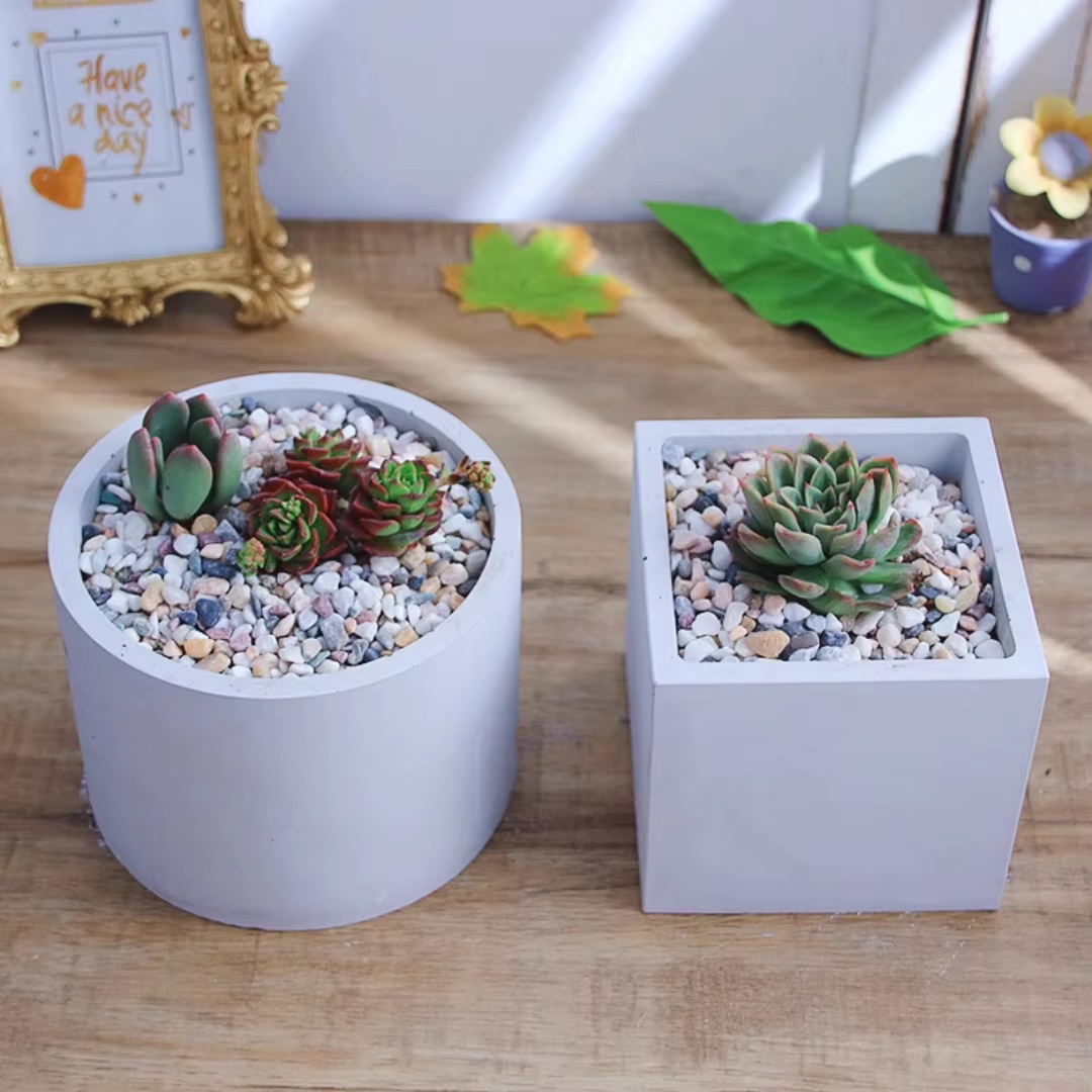 15cm Large Size Round Concrete - Echeveria Succulent ulasan dan harga