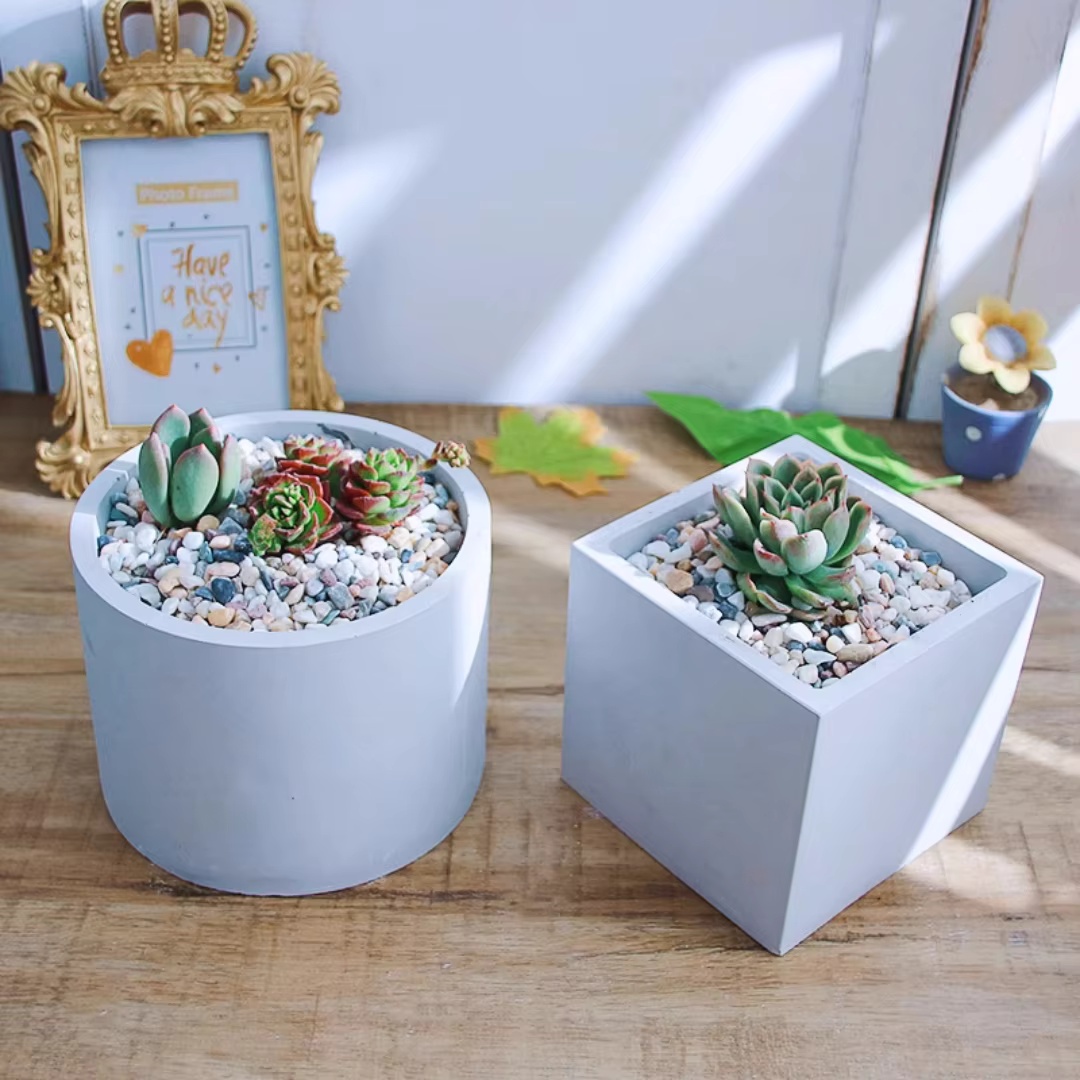 15cm Large Size Round Concrete - Echeveria Succulent ulasan dan harga